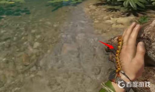 绿色地狱蜈蚣有什么用?2