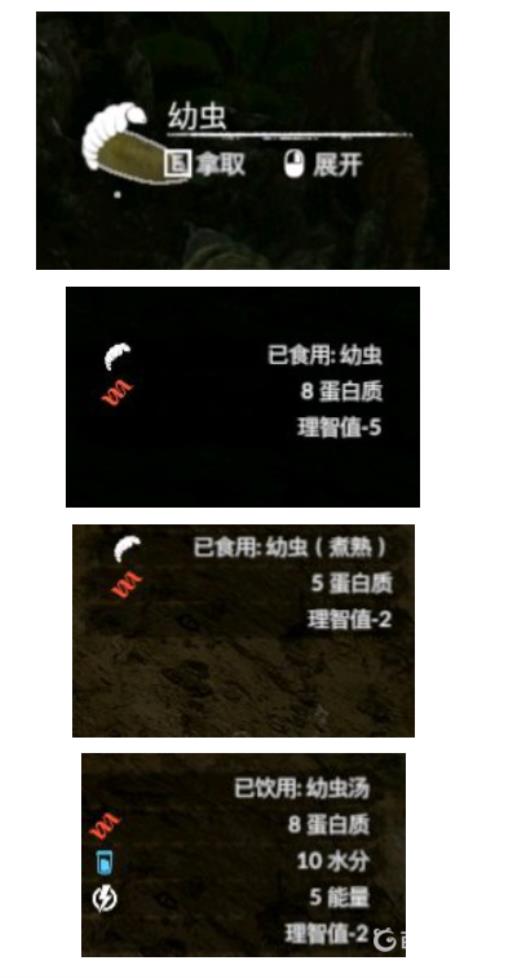 丛林地狱幼虫的作用是什么?2