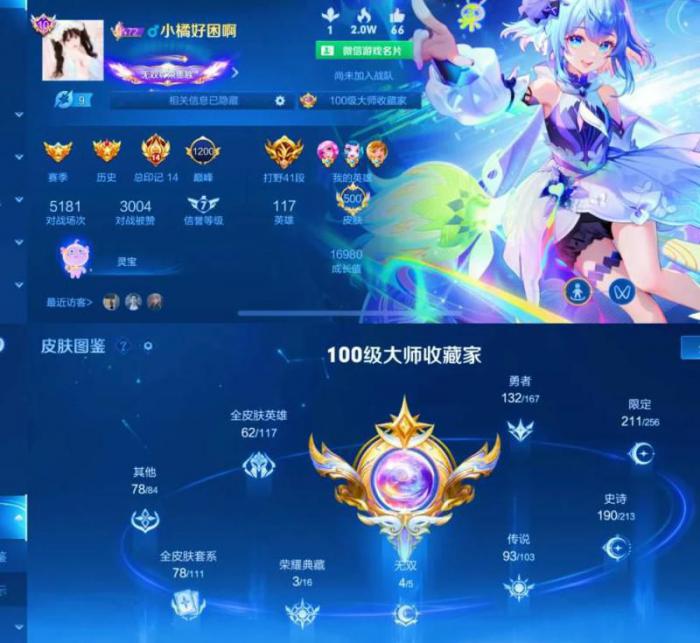 王者荣耀蓝是什么意思1