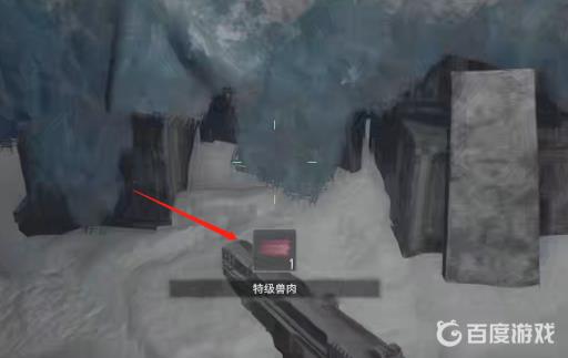 生化危机8极品禽肉在哪?4