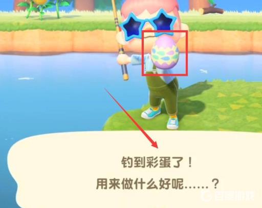 集合啦！动物森友会鱼儿蛋在哪里?5