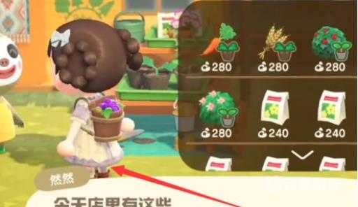 集合啦！动物森友会小麦在哪?3