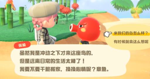 动森怎么去资源岛刷小动物?5