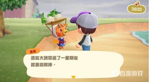 动物森林大头菜几点到几点?2