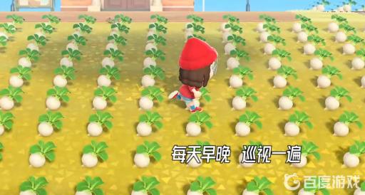 动森大头菜买完放哪里?2