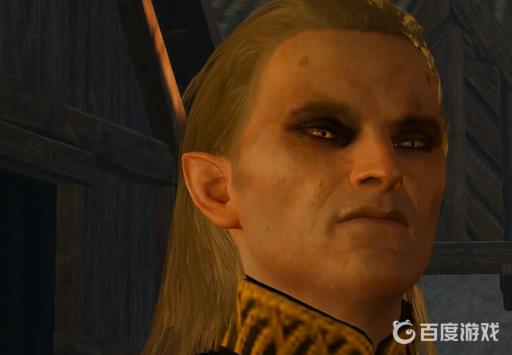 巫师3最后的准备任务怎么做?8