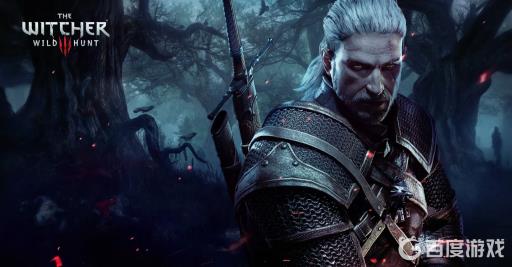 巫师3代码怎么输入大写?_巫师3代码大小写