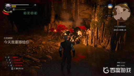 巫师3今天我要嫁给你完美结局如何达成?19