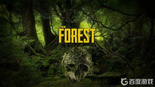 森林肉怎么风干?_森林晒干的肉怎么存放