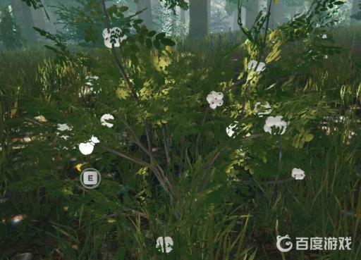 森林毒果子怎么收集?2