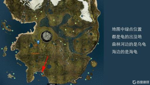 theforest乌龟壳在哪?3