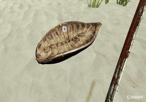 theforest乌龟壳在哪?9