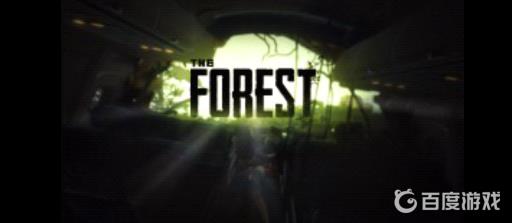 森林保暖服怎么做浣熊在哪里?1