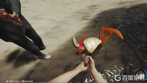 森林的乌龟壳去哪收集?4