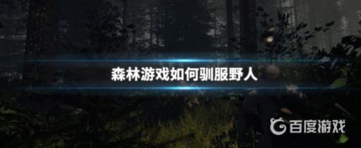 森林怎么驯服女野人?1