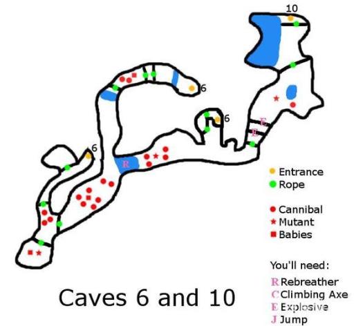 森林各个洞里有什么?8
