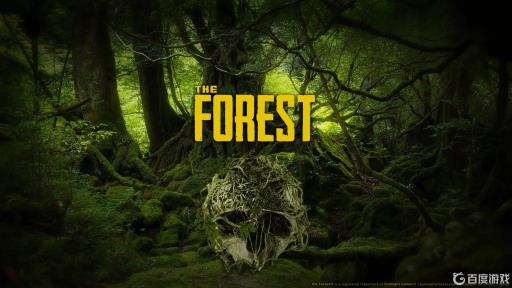 森林怎么拆除建筑?1