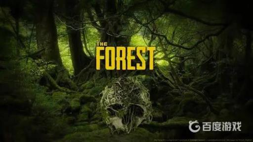 森林讲的是什么故事?1