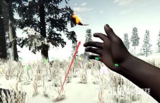 森林打完小女孩在去哪坐电梯?5