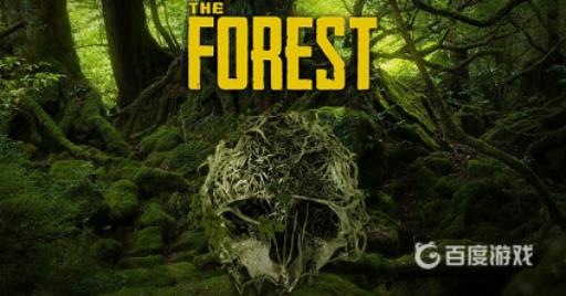 森林飞机头在哪?1