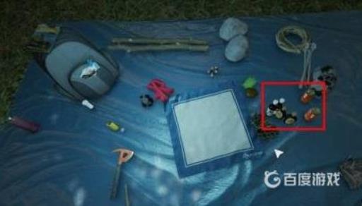 森林怎么吃东西?2