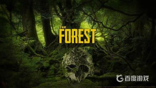 森林游戏乌龟壳怎么找?1