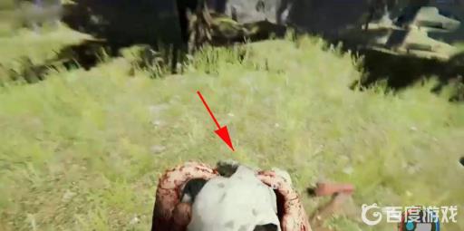 森林怎么丢骷髅头?3