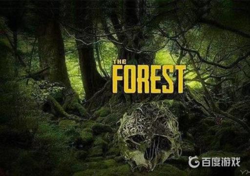 森林提米在哪?1