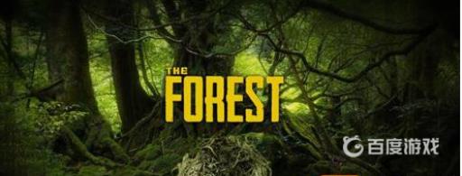 森林怎么保存?1