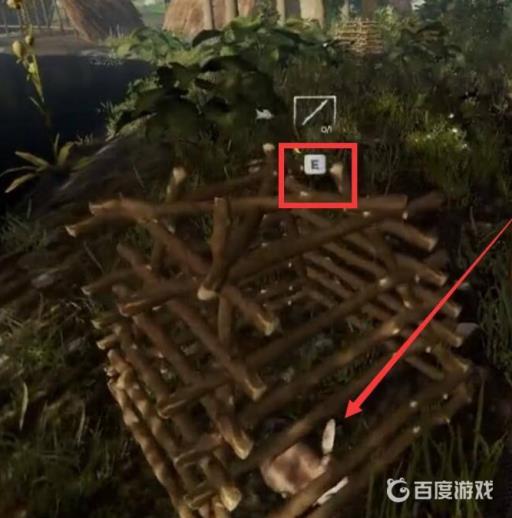 森林兔子陷阱怎么抓兔子?3