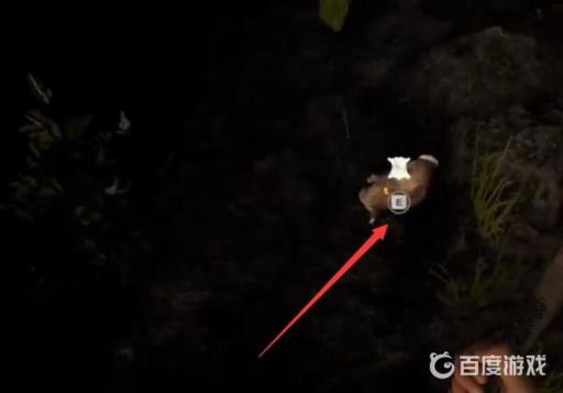 森林兔子陷阱怎么抓兔子?5