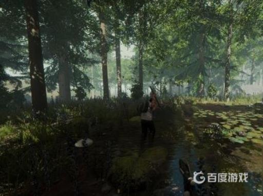 森林浣熊在哪些地方能刷?1