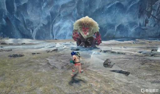 怪物猎人崛起雪原兽是什么?2