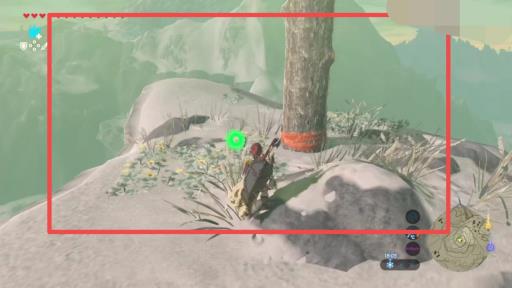 塞尔达参天大树任务怎么过?6