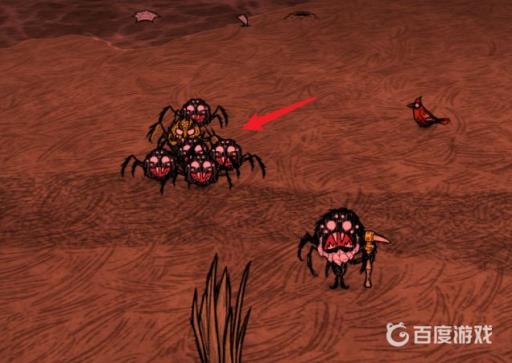 饥荒韦伯怎么永久招蜘蛛?4