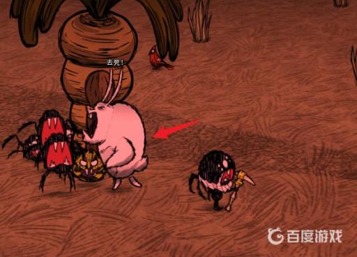 饥荒韦伯怎么和蜘蛛做朋友?8