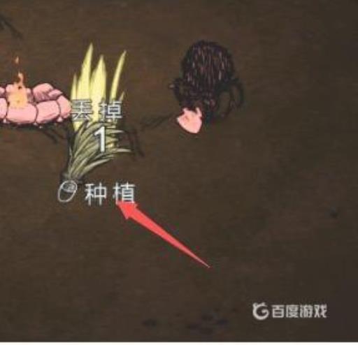 饥荒水中木怎么移植?7