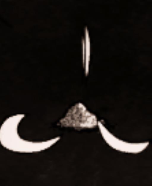 饥荒作祟有什么用?20