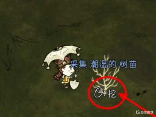 饥荒树枝怎么种?5