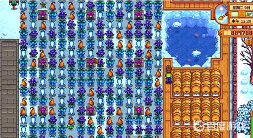 星露谷物语冬天能种地吗?2