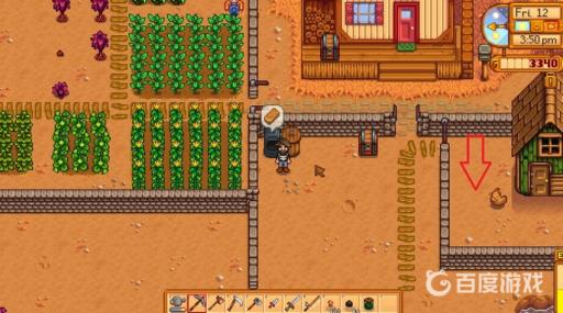 星露谷物语鸡在哪买?3