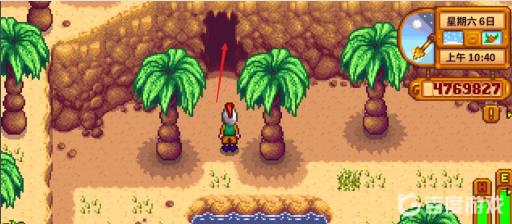 星露谷100骨头怎么获取?3