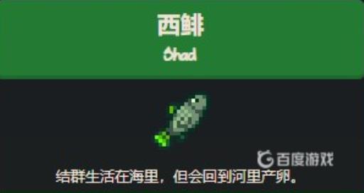 星露谷物语西鲱鱼在哪里钓?_星露谷物语西鱼在哪里钓