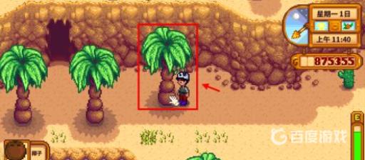 星露谷物语椰子怎么得?6