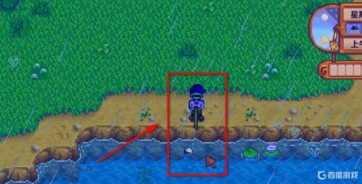 星露谷物语鲶鱼在哪钓?6