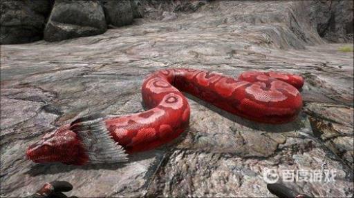 方舟泰坦巨蟒打晕了怎么驯服?2