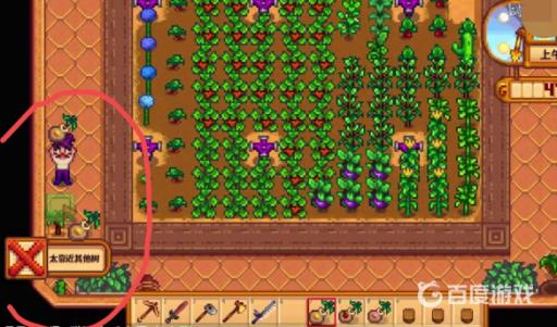 星露谷物语温室为啥种不了东西?6