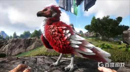 方舟生存老鹰吃什么资料?1