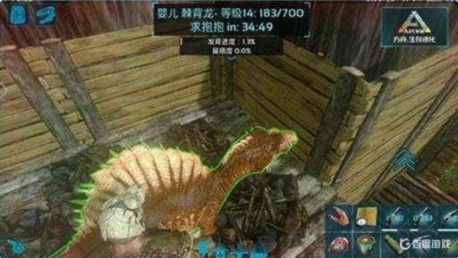 方舟如何大量刷肉?1