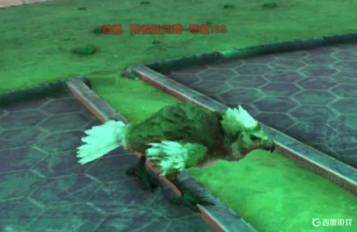 方舟阿根廷巨鹰蛋怎么孵化?3